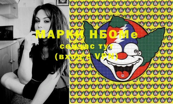 ECSTASY Пересвет