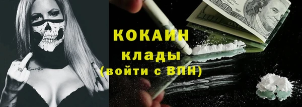 гашик Пестово