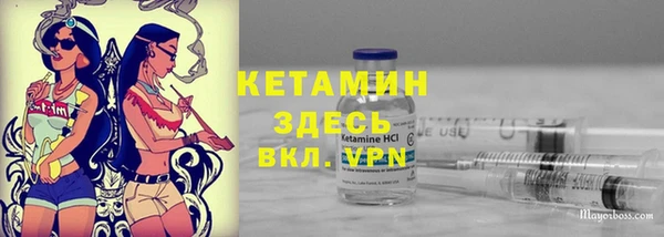 ECSTASY Пересвет