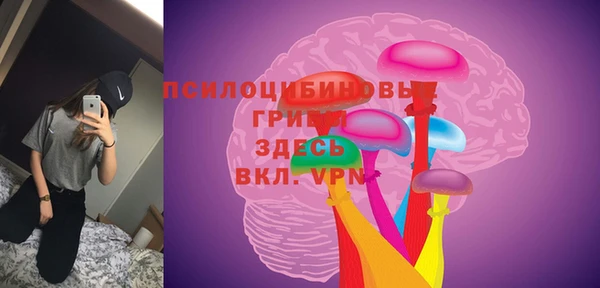 ECSTASY Пересвет