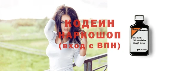 гашик Пестово