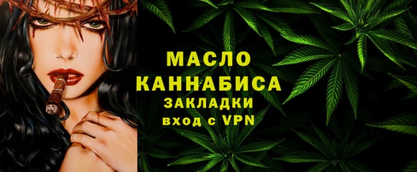 гашик Пестово